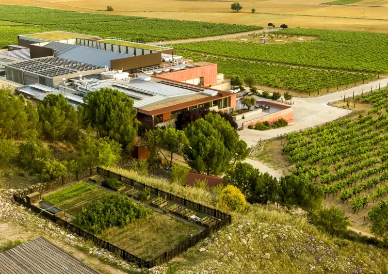 Premio Alimentos de España